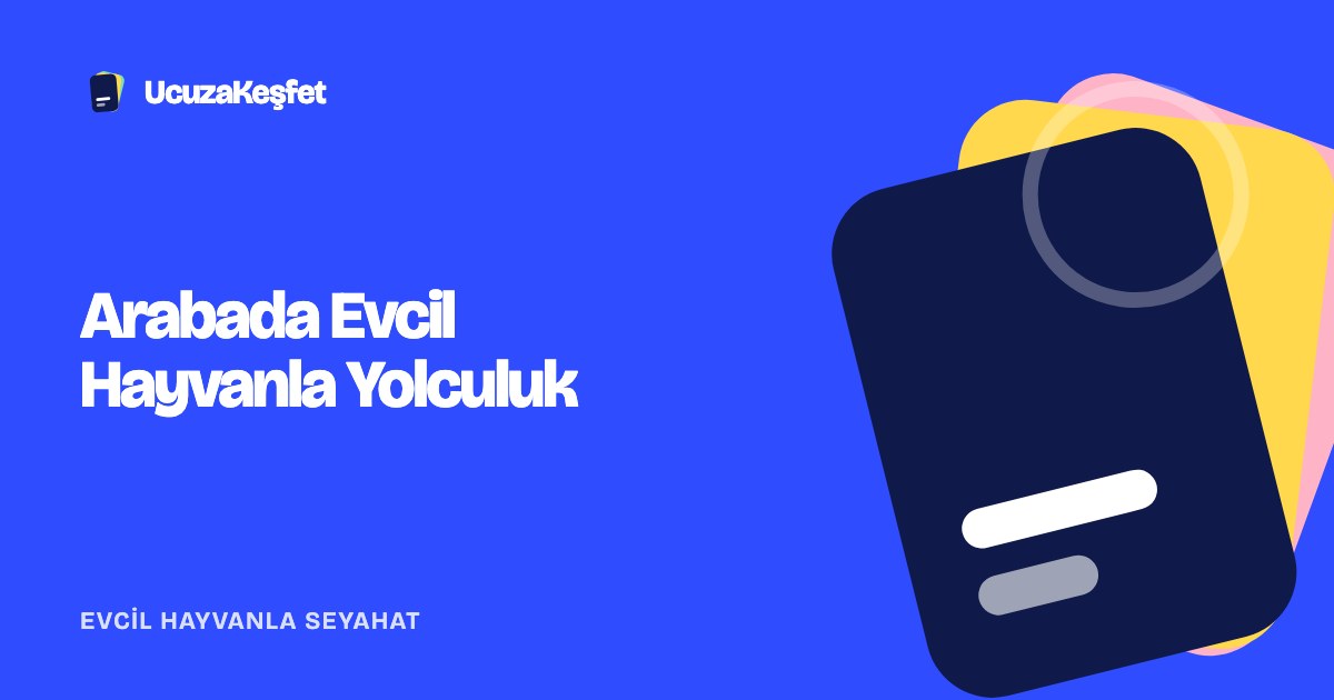 Arabada Evcil Hayvanla Yolculuk