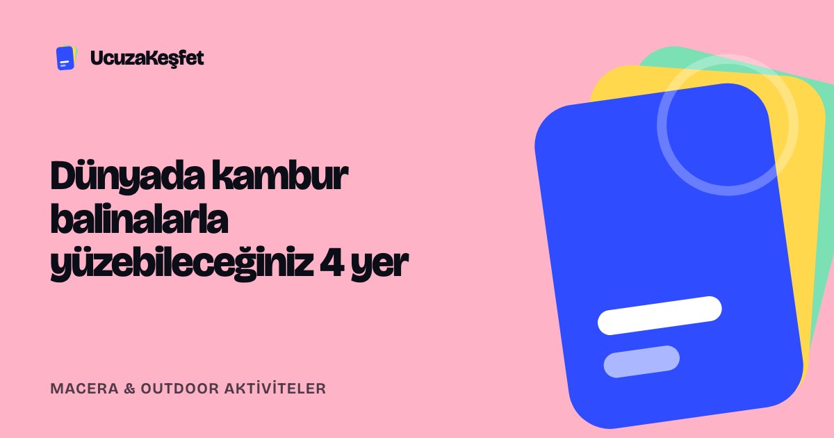 Dünyada kambur balinalarla yüzebileceğiniz 4 yer