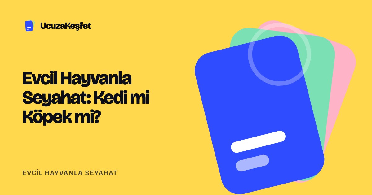 Evcil Hayvanla Seyahat: Kedi mi Köpek mi?