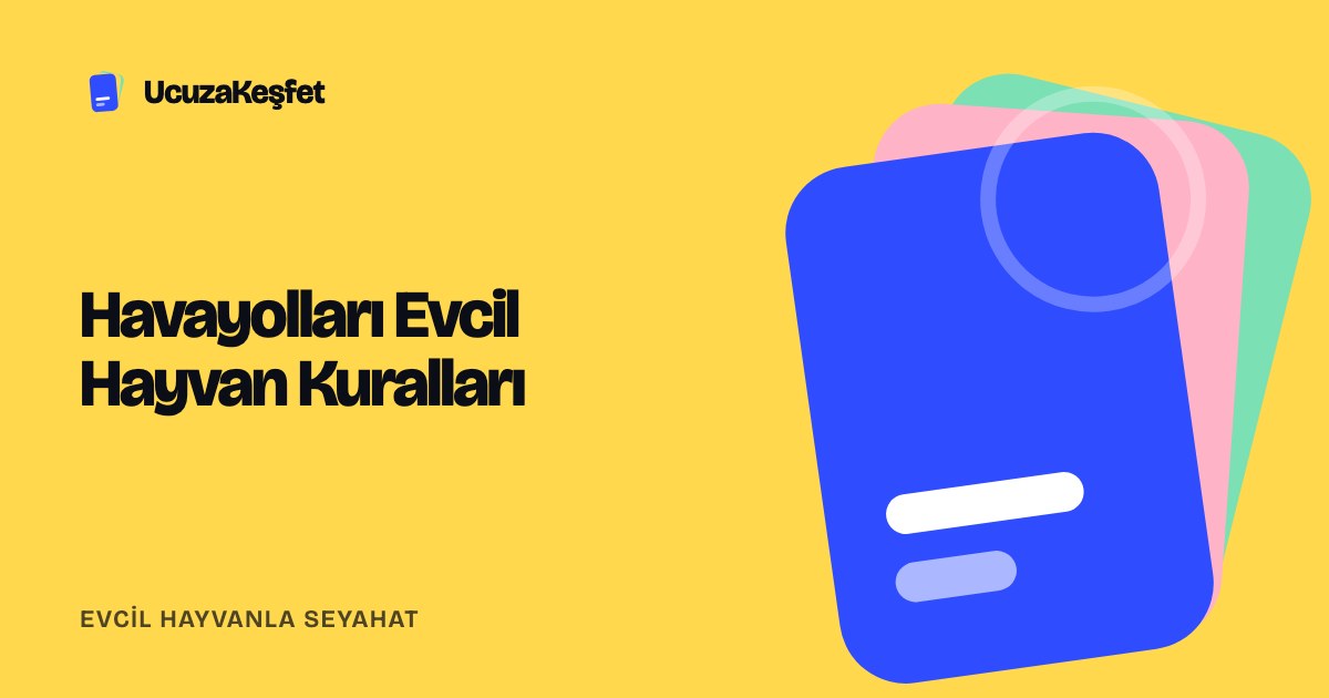 Havayolları Evcil Hayvan Kuralları