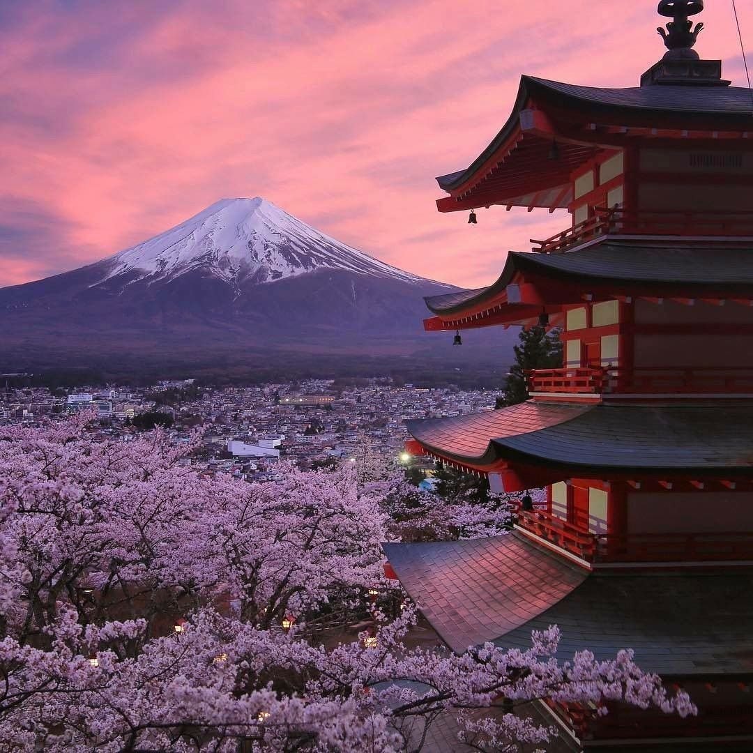 Japonya'da Görgü Kuralları: Bilmeniz Gerekenler