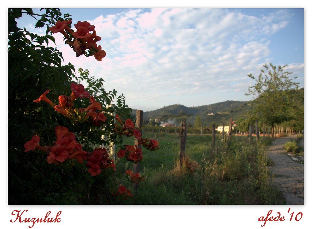 Kuzuluk Kaplıcaları (Akyazı)