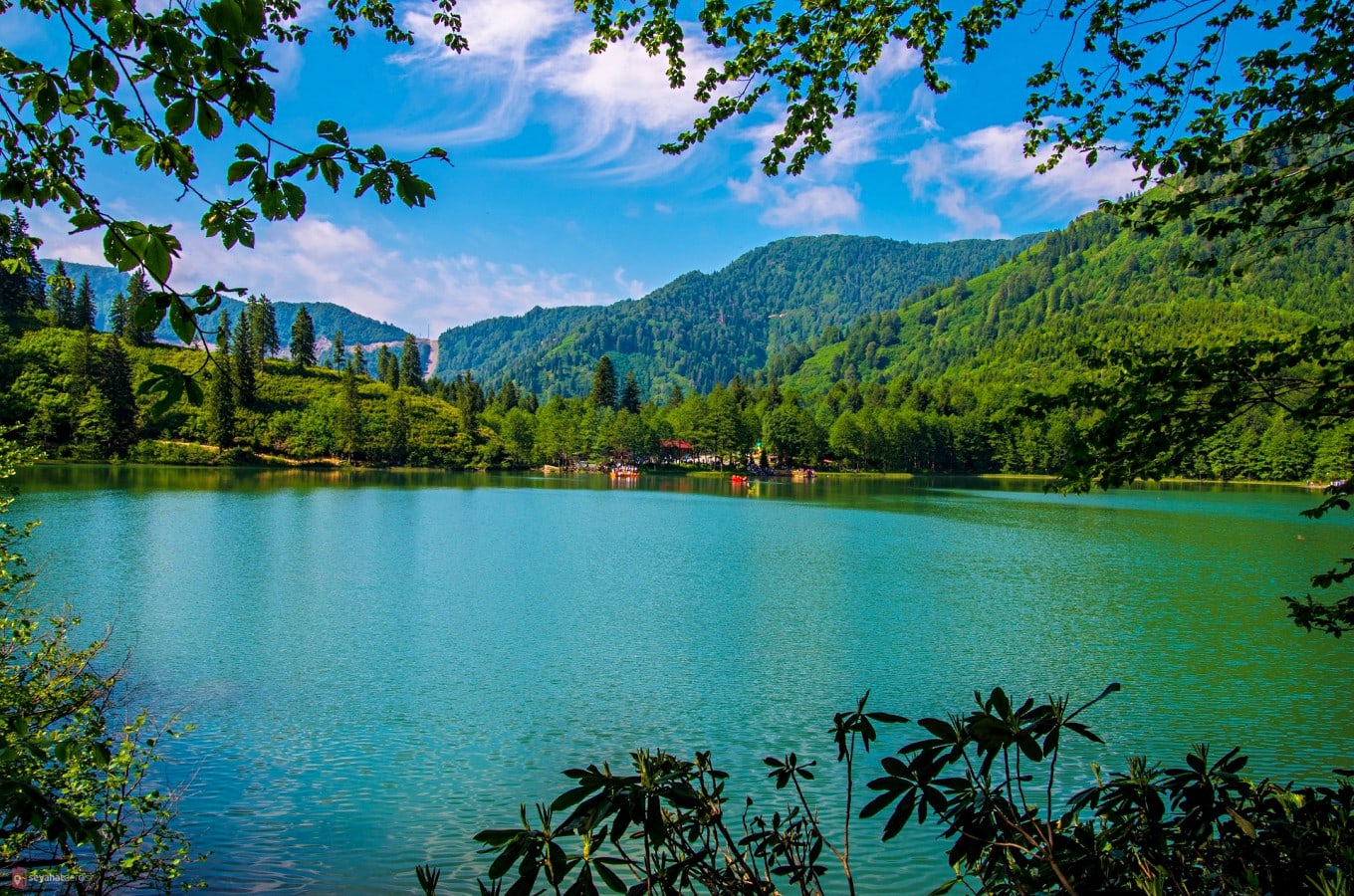 Borçka Karagöl sisli sabah ormanlık göl