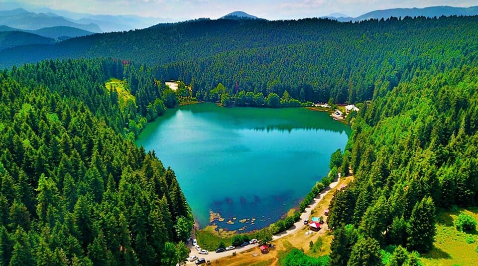 Hopa Karadeniz sahili çay bahçeleri
