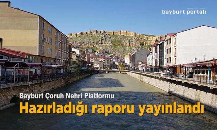 Çoruh nehri vadi yeşil yamaçlar