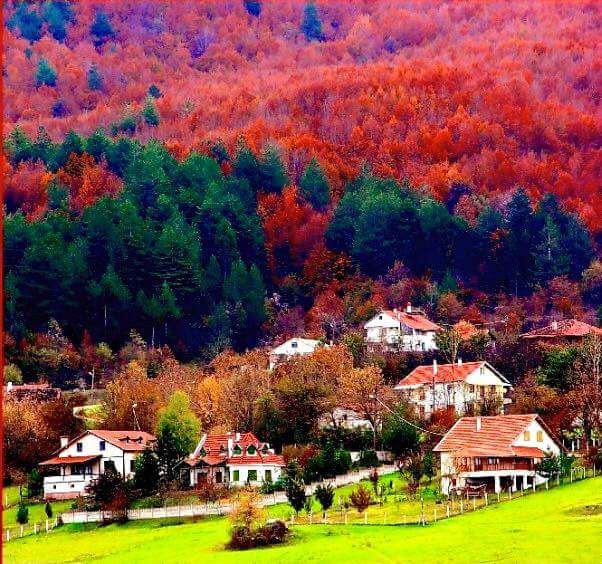 Mengen Aşçılar Şehri Türk mutfağı festival