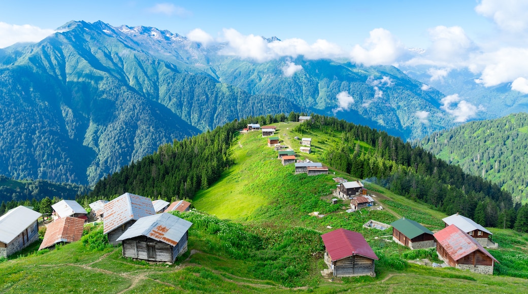 Ayder Yaylası 1300m yeşil yayla evler
