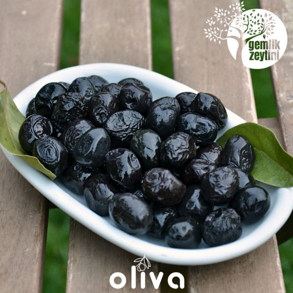 Gemlik Zeytin Kültürü (İşlik/Tadım)