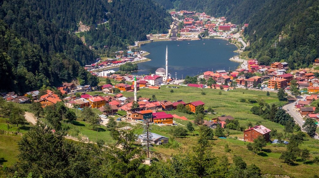 Şebinkarahisar Mengücek Gazi kale
