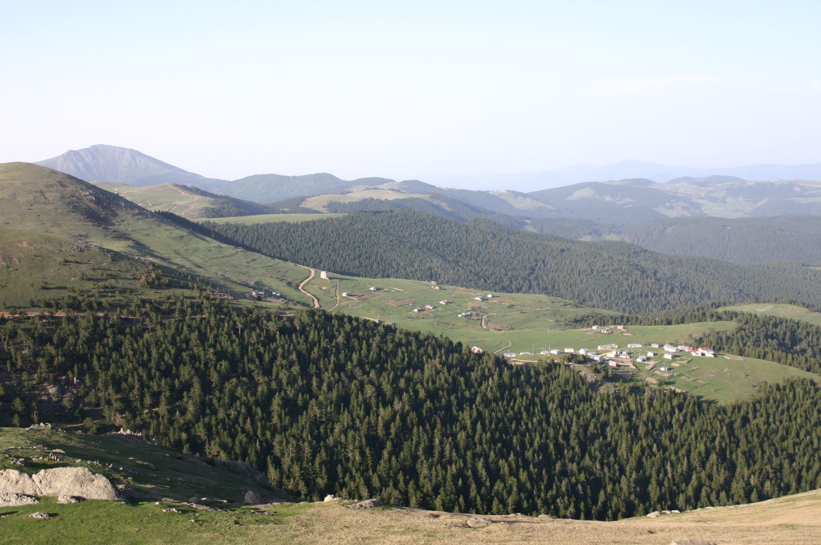 Bektaş Yaylası dağ doğa yeşil