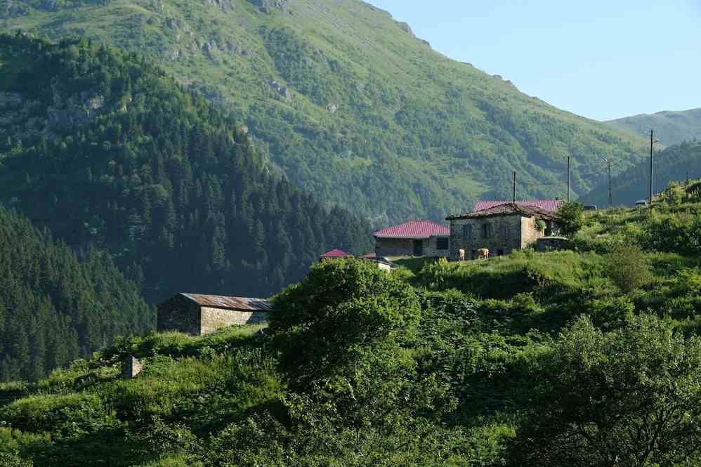 Pelitli Yaylası dağ doğa şenlik