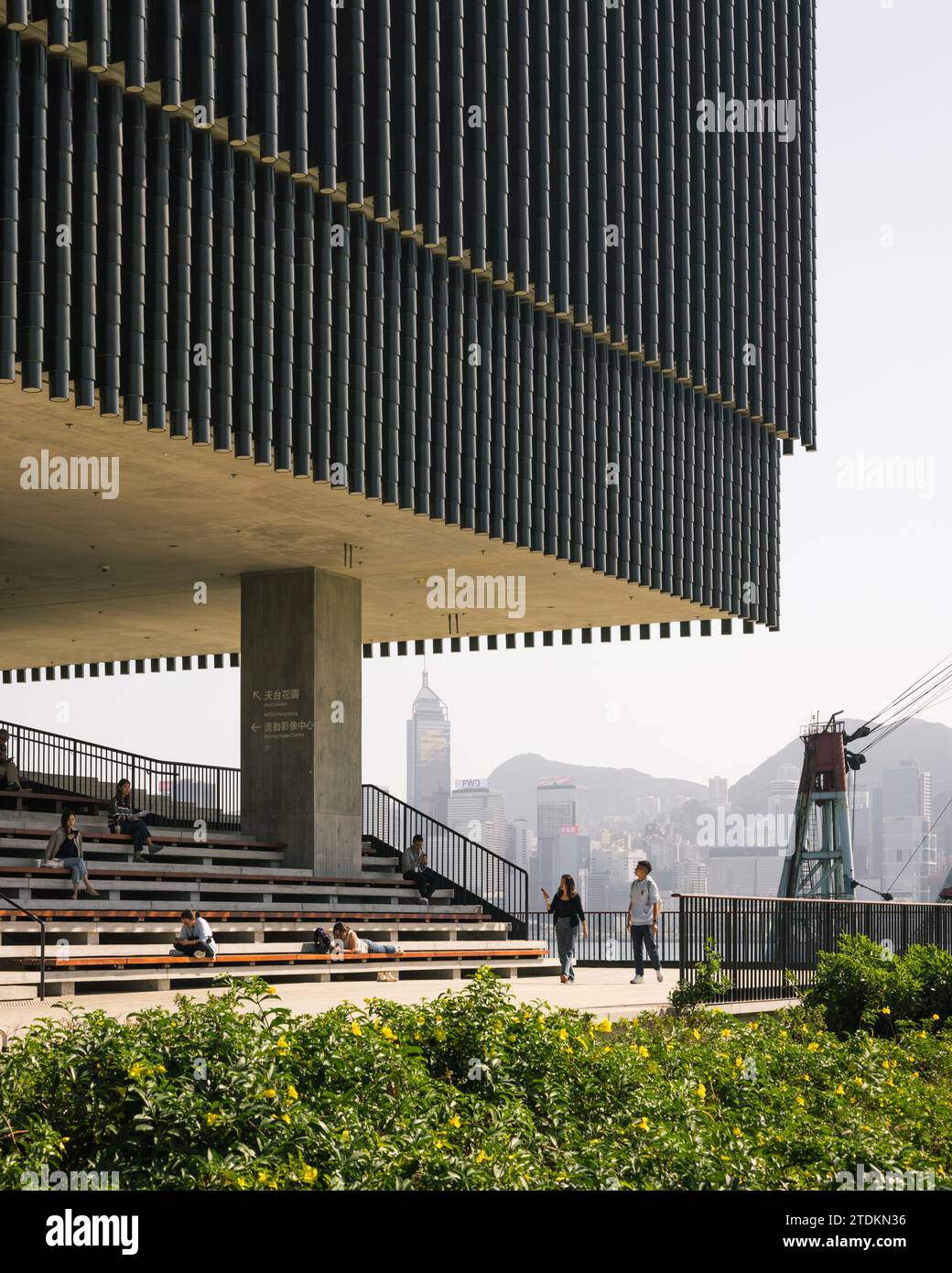 M+ Müzesi (West Kowloon Kültür Bölgesi)
