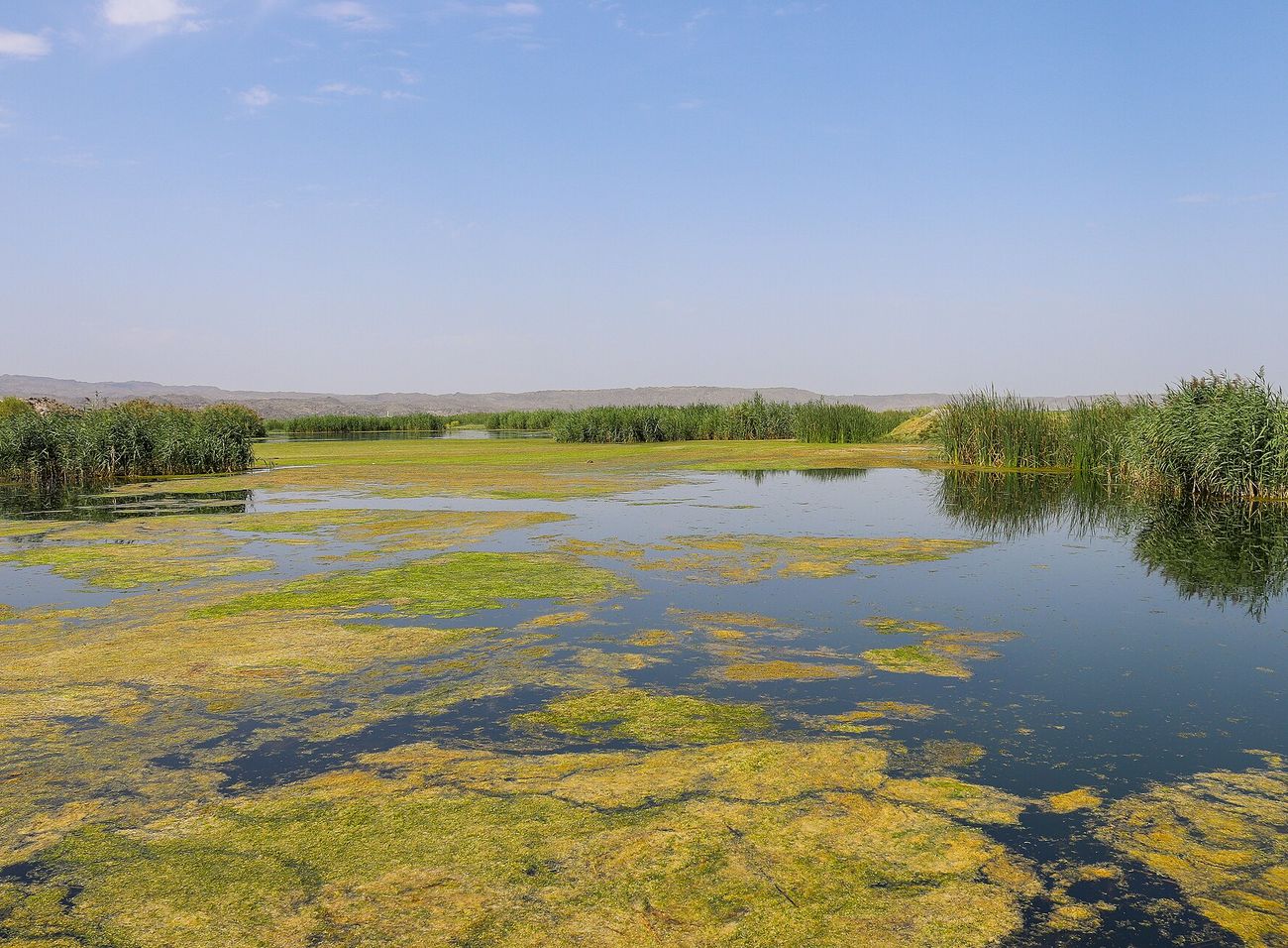 Ağrı Dağı zirve karlı manzara Iğdır