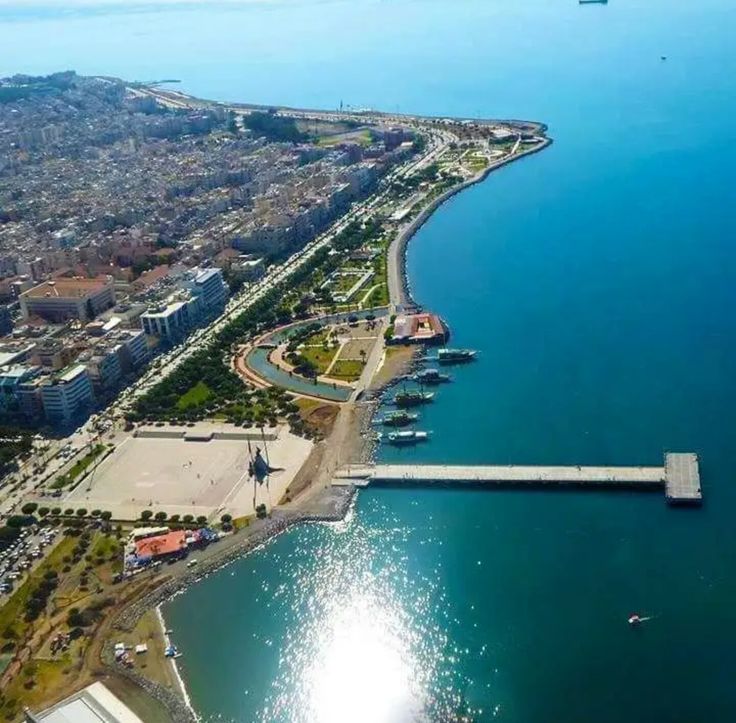 Sahil Bulvarı Akın Caddesi palmiye yürüyüş