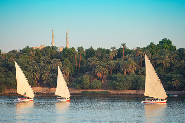 Nil Nehri felucca + Cairo Tower