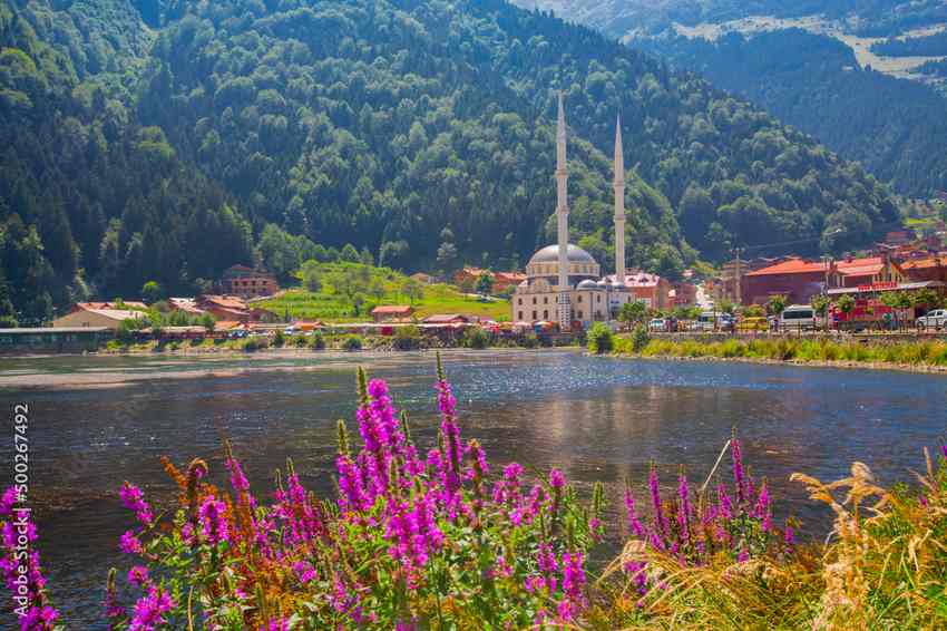 Karadeniz yaylasında yeşil çayır, sis ve ahşap evler — Karadeniz bölgesi doğa manzarası