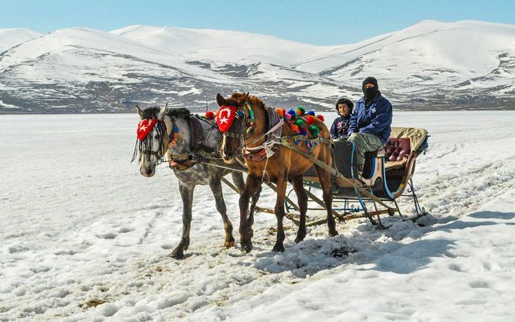 Çıldır Gölü kışın buz at arabası