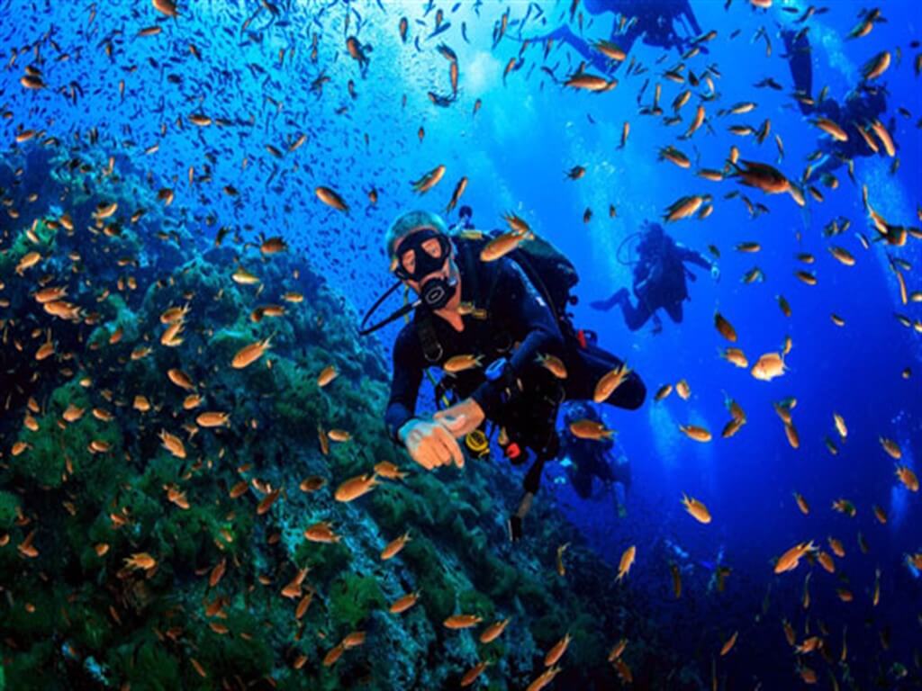 Kaş dalış cenneti antik batık sualtı
