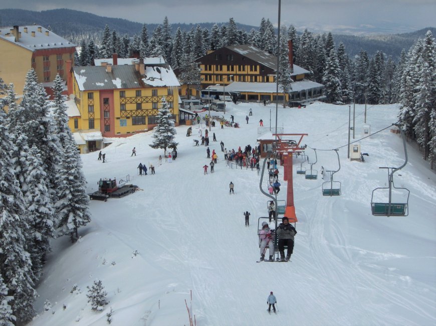 Ilgaz Dağı kayak pist çamlık