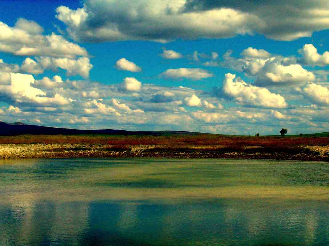 Seyfe Gölü flamingo kuş cenneti