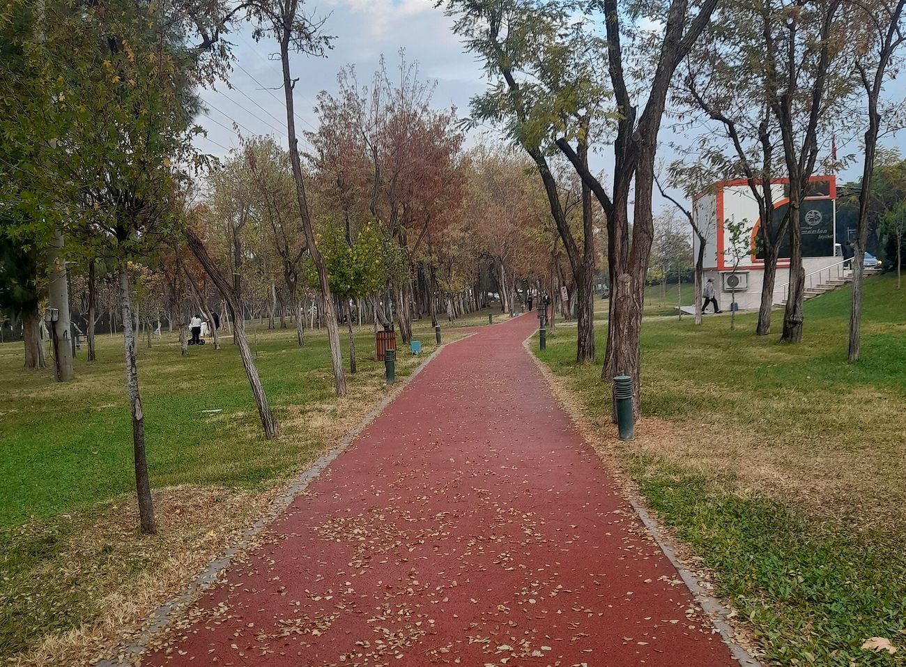 Akhisar zeytin ağaçları bahçe