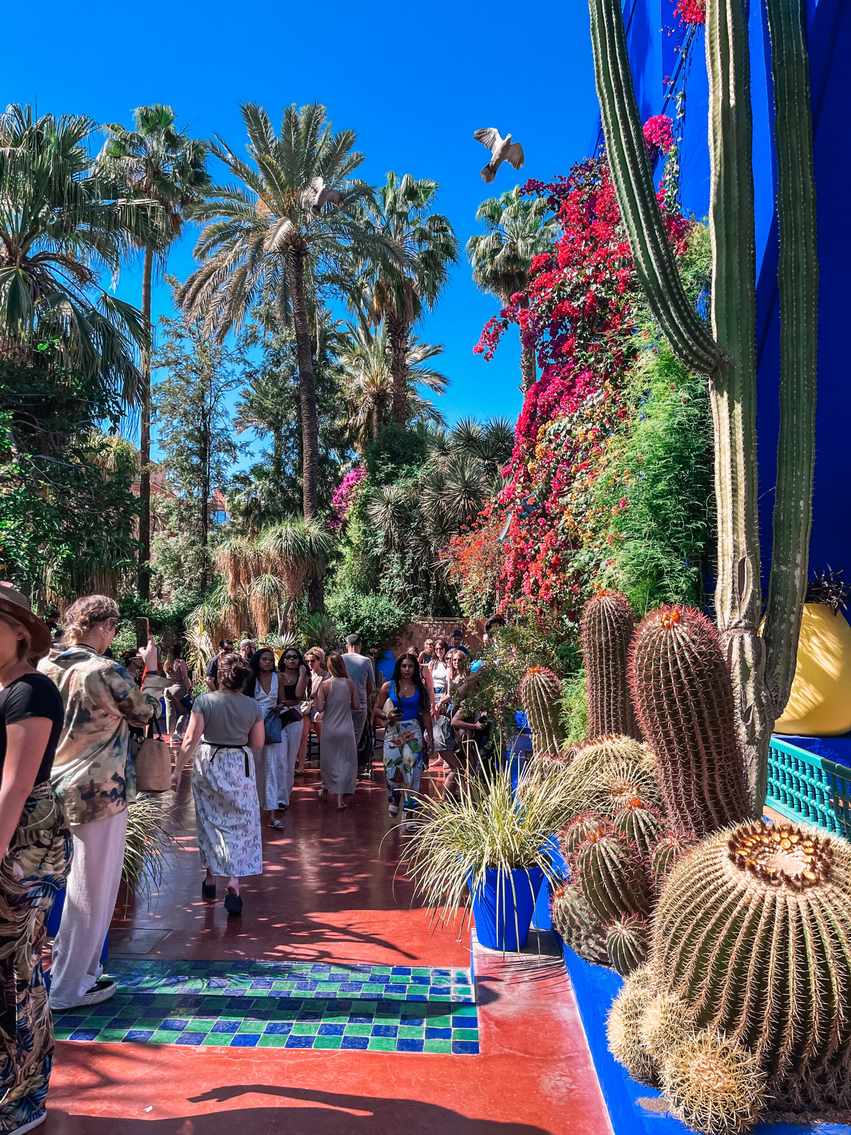 Majorelle Bahçesi + YSL Müzesi