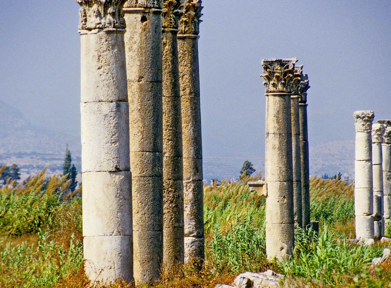Soli Pompeiopolis sütunlu cadde Mersin