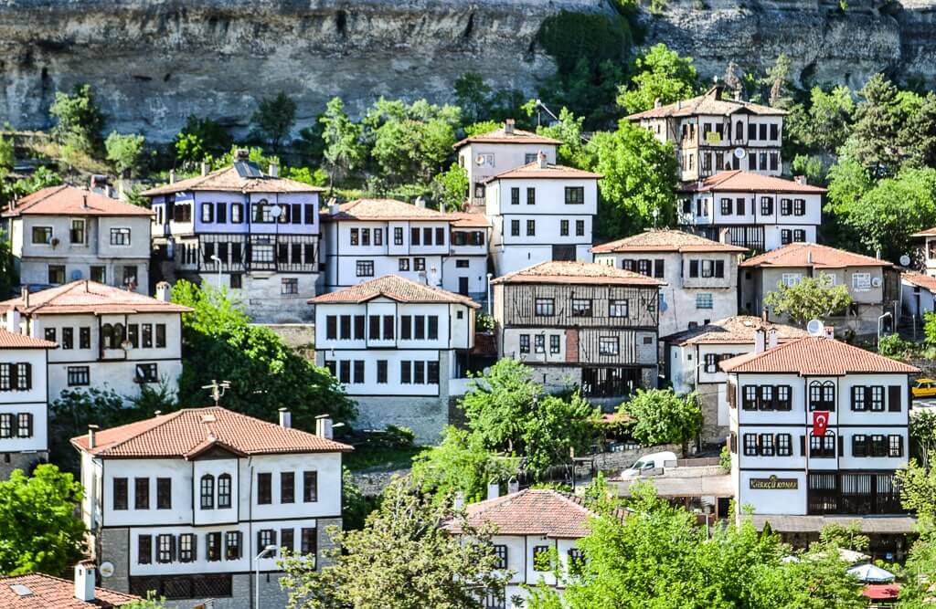 Safran çiçeği Crocus sativus dünya pahalı