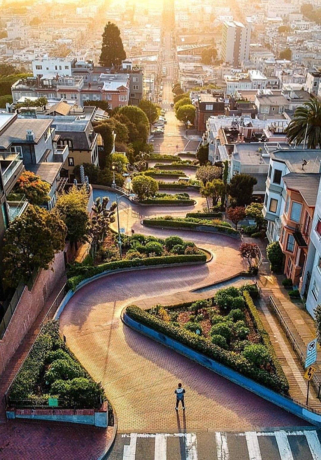 Lombard Street (8 viraj dönüş)