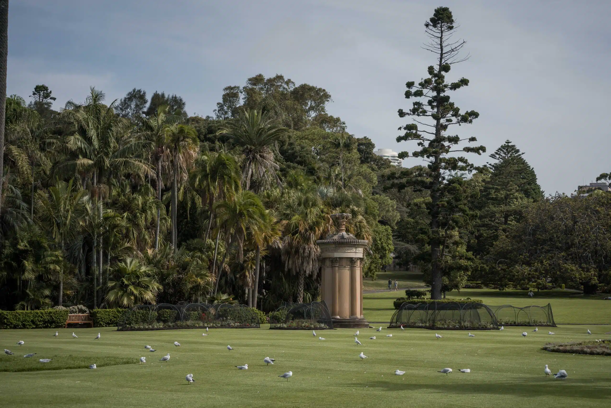 Royal Botanic Garden + Mrs Macquarie's Chair