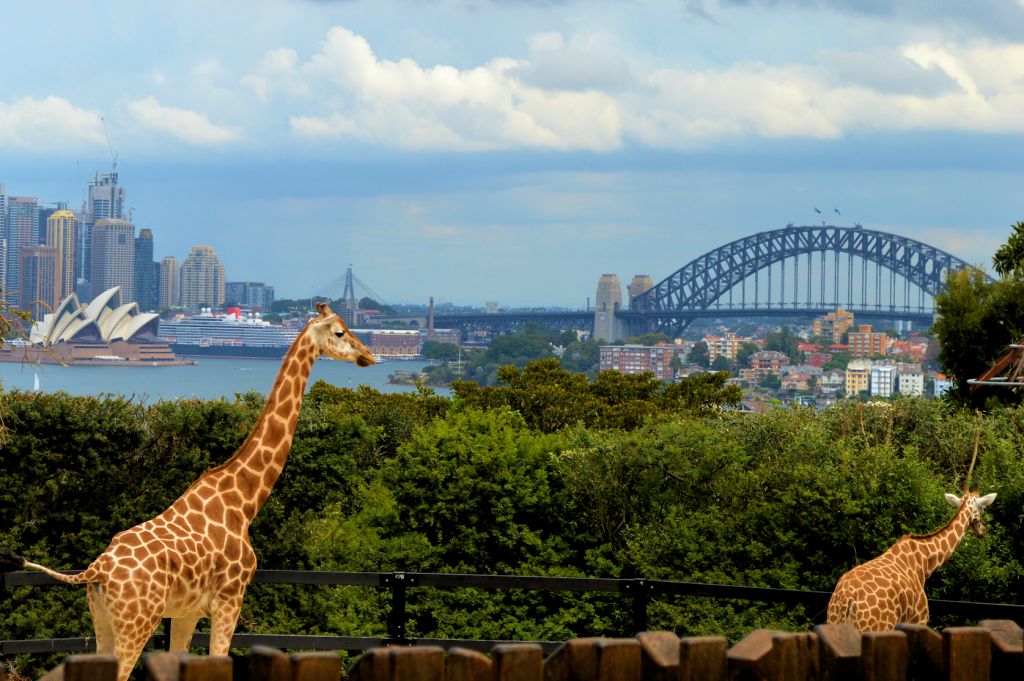 Taronga Zoo