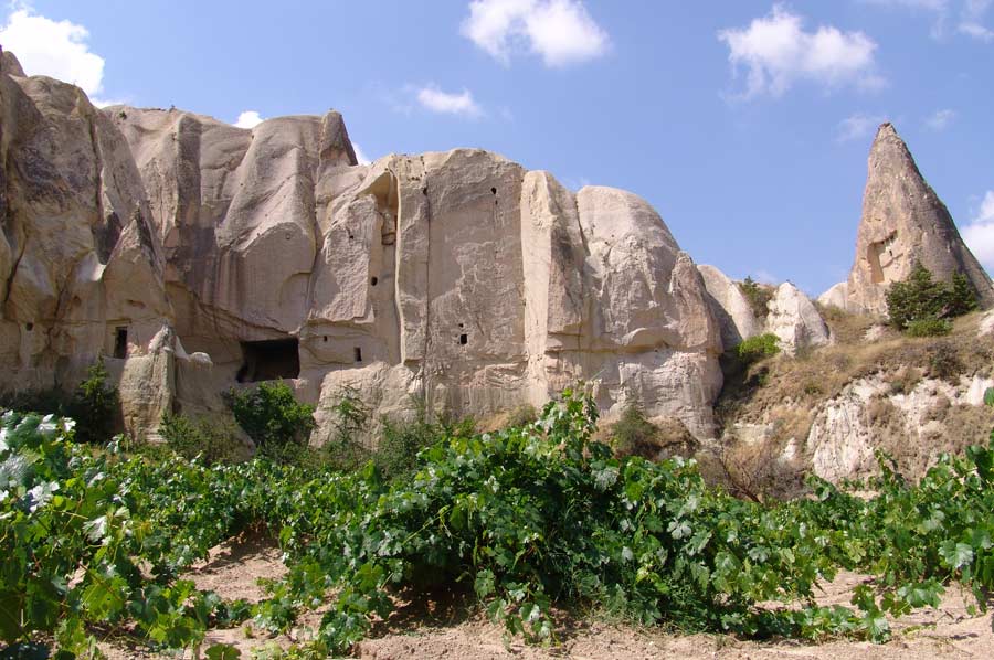 Kapadokya şarap evi Turasan Kocabağ 200 yıl