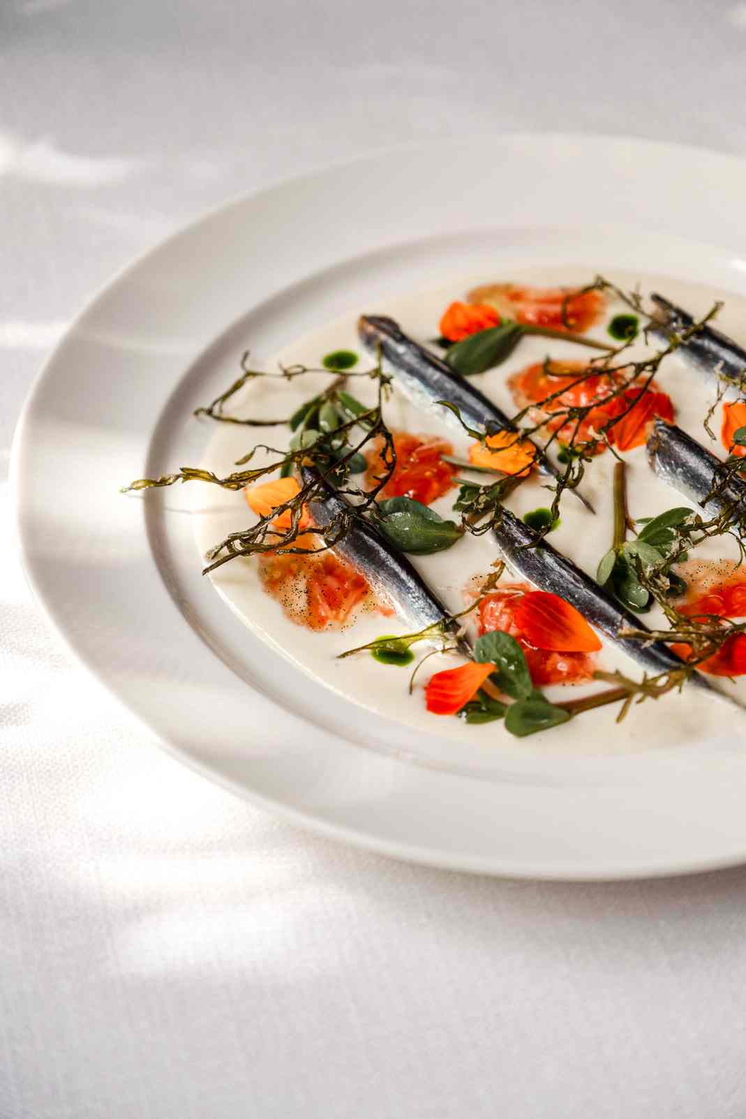 Urla fine dining Vino Locale Mod Lokanta