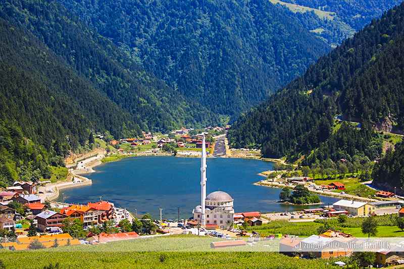 Of Karadeniz çay tarlası üretim merkez