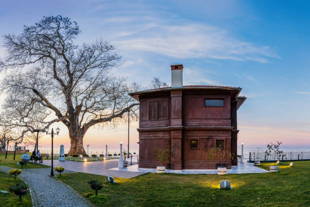 Atatürk Yürüyen Köşk Yalova çınar ağacı bahçe