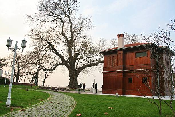 Atatürk Yürüyen Köşk çınar ağacı bahçe