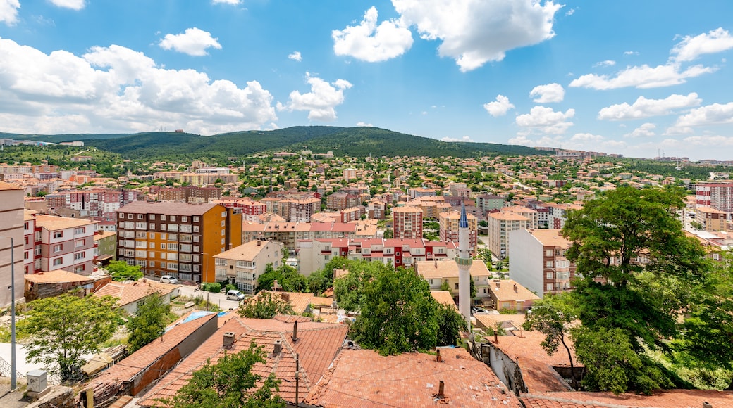 Cinli Köşk 19. yy Osmanlı konak müze