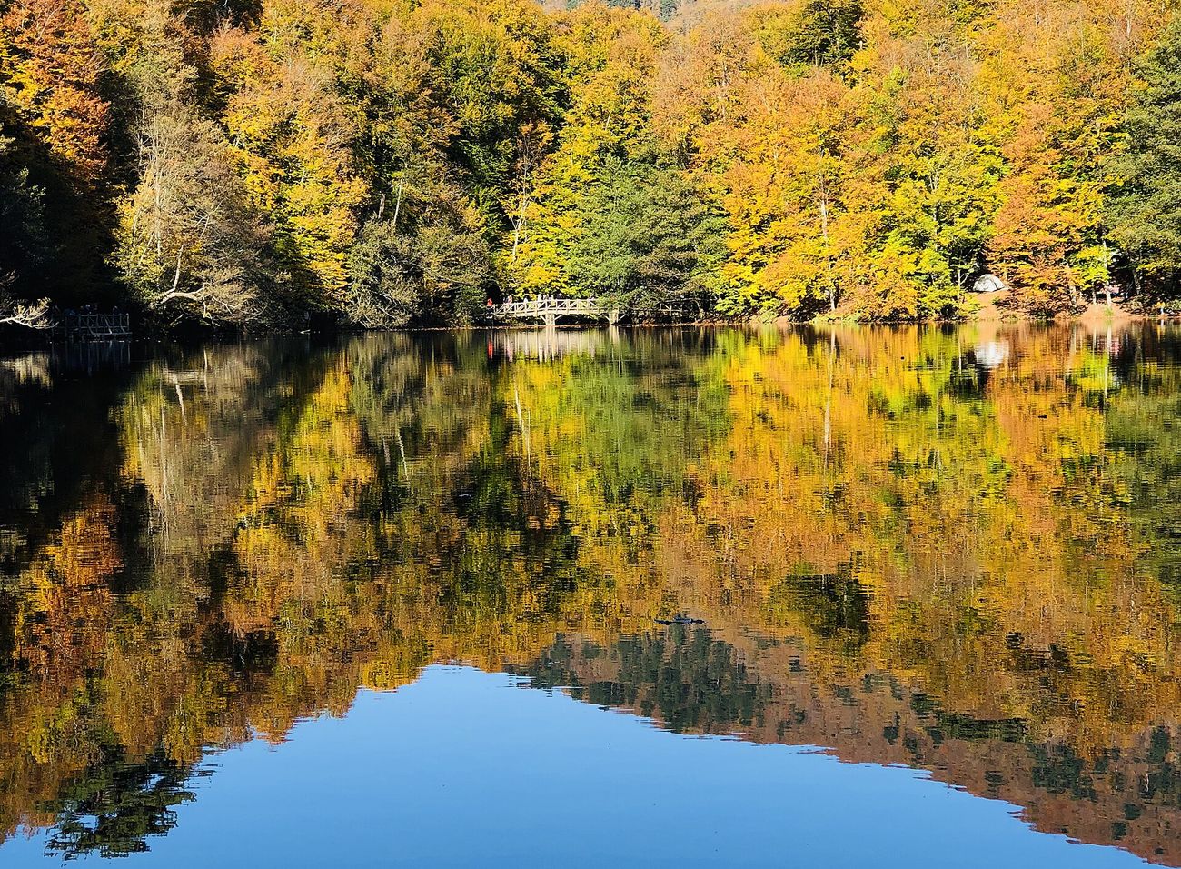 Yedigöller Milli Park sonbahar renkler