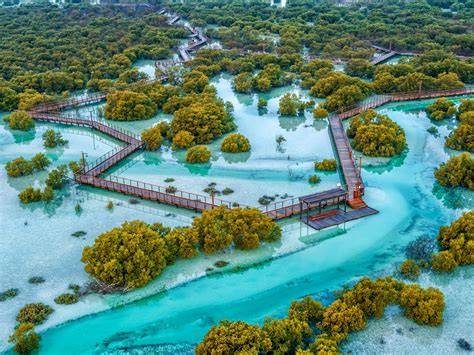 Abu Dabi Mangrove Milli Parkı (Kayak)