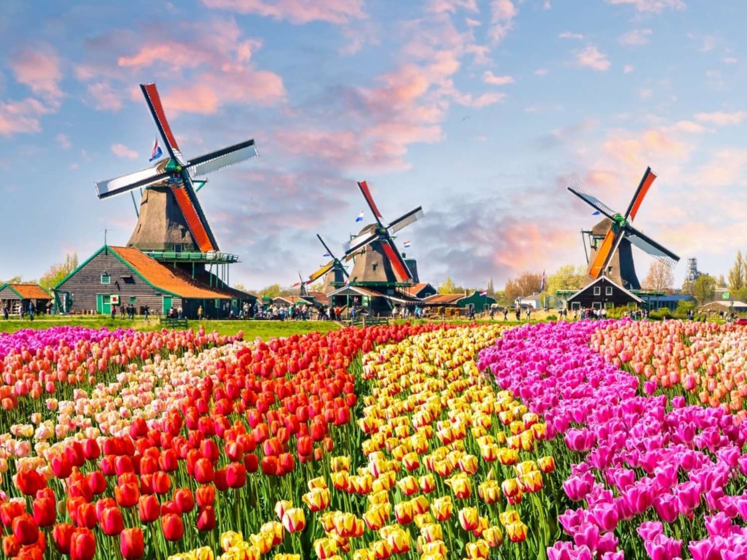 ucuzakesfet.com/amsterdam-keukenhof