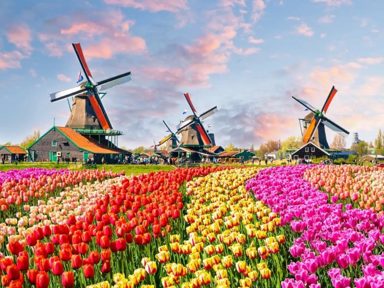 Amsterdam: keukenhof