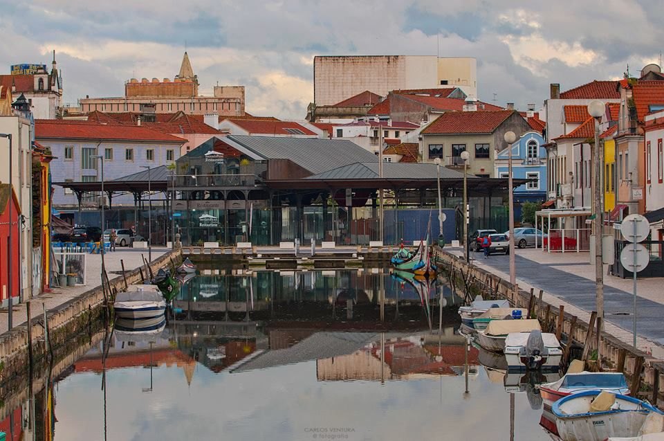 Praça do Peixe (Balık Meydanı)