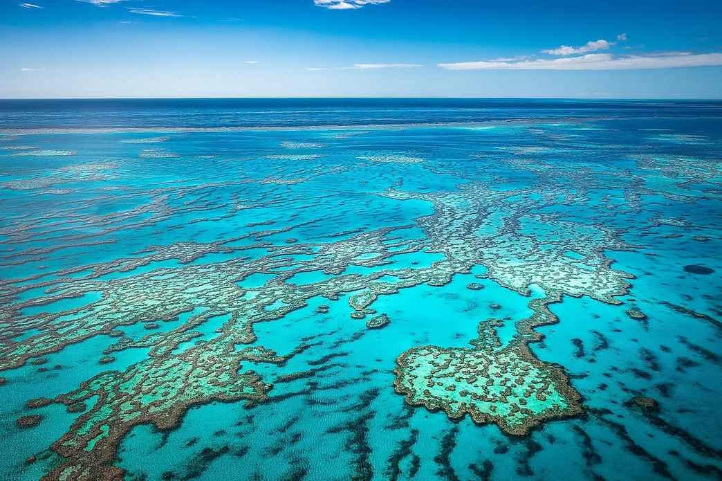 Great Barrier Reef (Cairns)