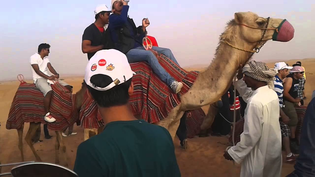 Çöl Safari (Dune Bashing)