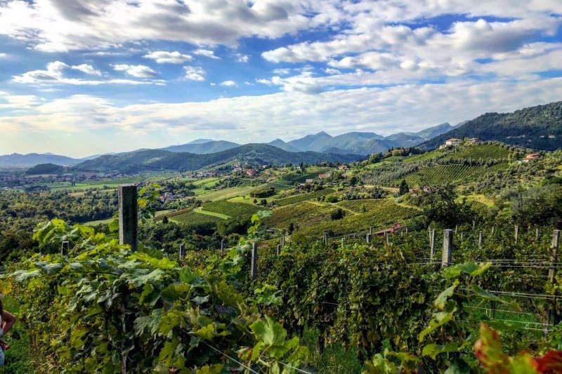 ucuzakesfet.com/bergamo-moscato-scanzo