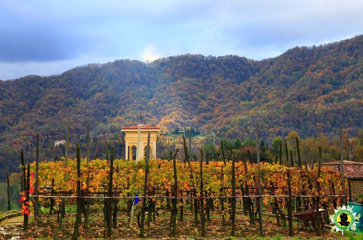 ucuzakesfet.com/bergamo-valcalepio