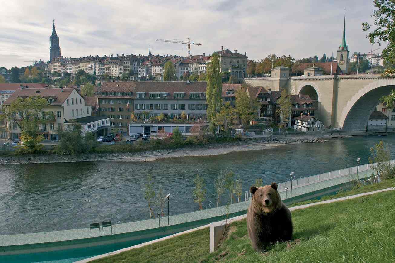 Ayı Parkı (BärenPark) & Nydeggbrücke