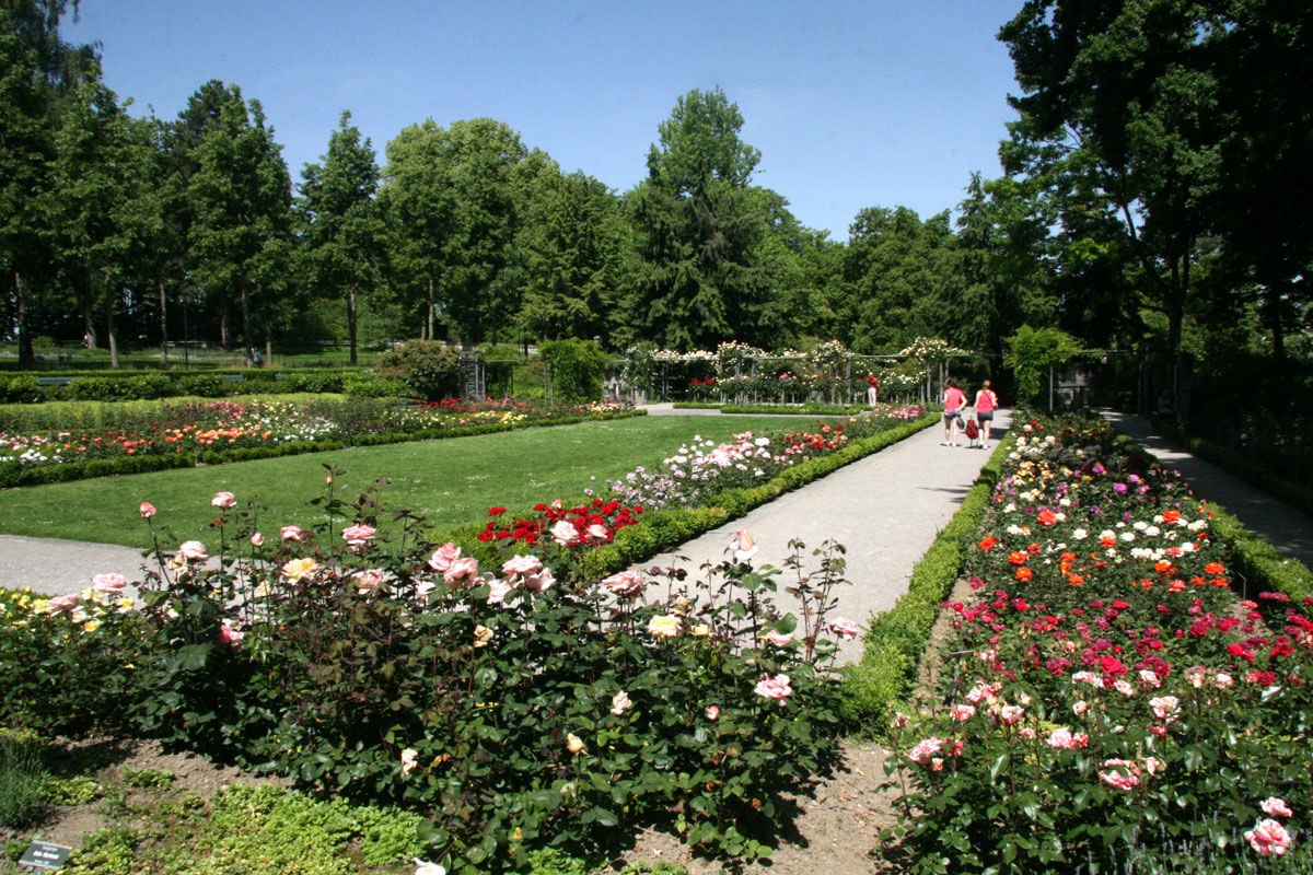 Rosengarten (Gül Bahçesi)