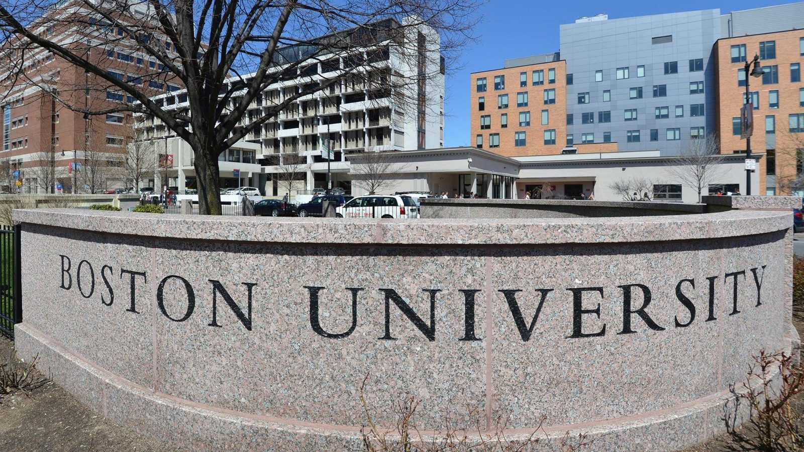 Harvard / MIT logolu ürün