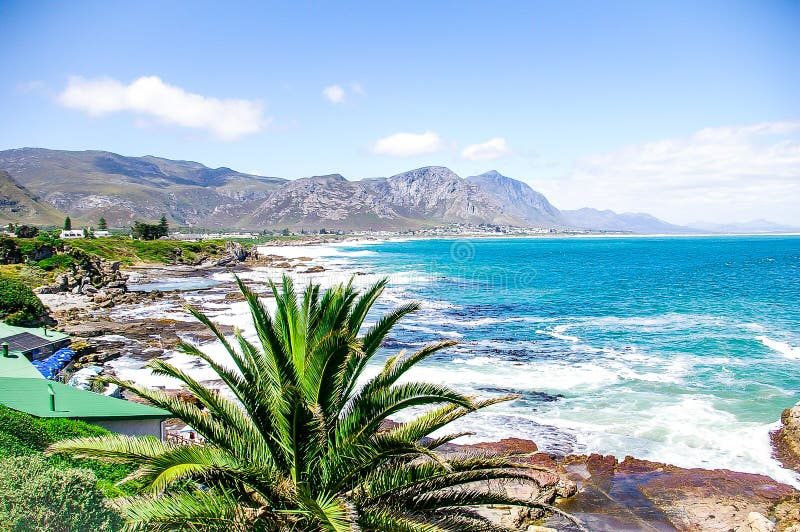 Hermanus